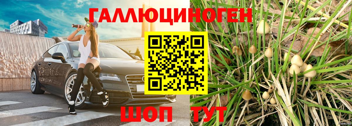 Псилоцибиновые грибы прущие грибы  Вход с VPN  Выкса  Галлюциногенные грибы MAGIC MUSHROOMS 